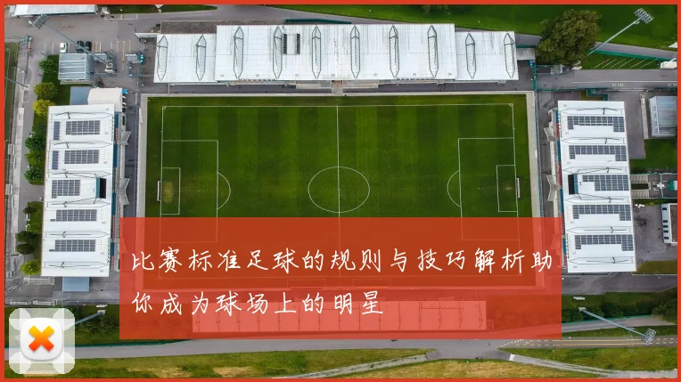 比赛标准足球的规则与技巧解析助你成为球场上的明星
