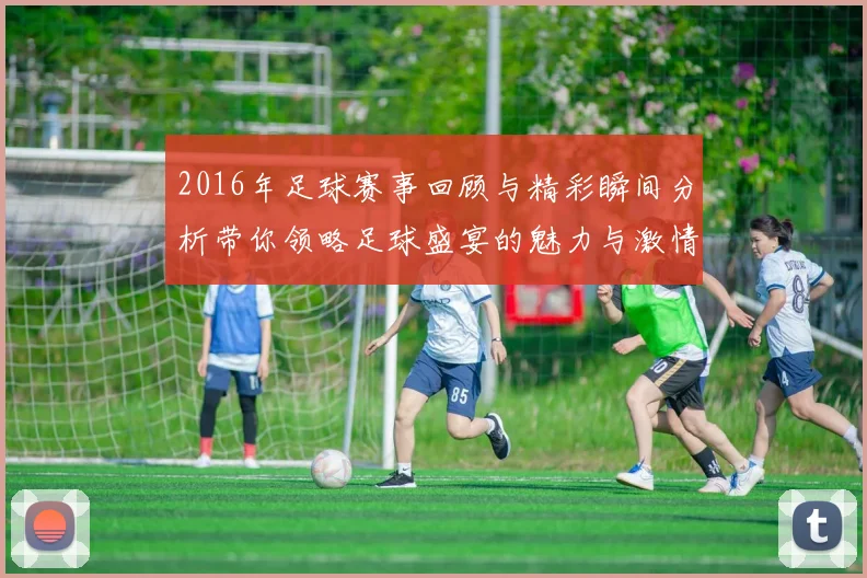 2016年足球赛事回顾与精彩瞬间分析带你领略足球盛宴的魅力与激情